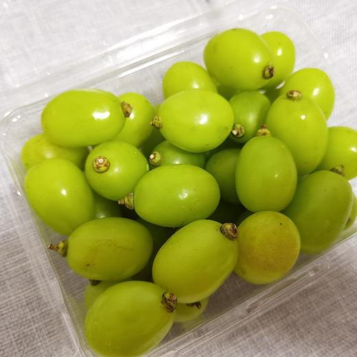 特价女皇果粒（带果梗），2盒净重约2.6-3.0斤。口感超棒，几乎每个都像糖豆一样甜，且有香味。收到后请放冰箱冷藏保存。 商品图1