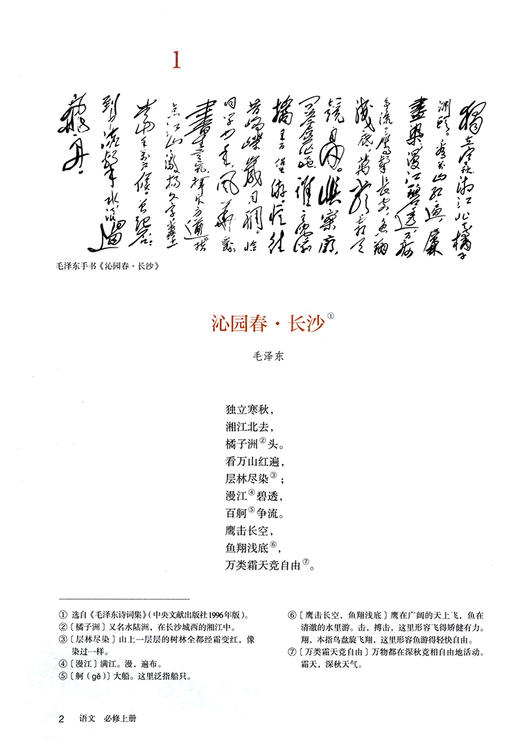 高中语文 课本（必修 上册） 商品图2