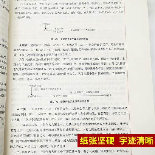 中医护理学基础 新世纪第3三版 全国高等中医药院校规划教材 第十10版 十三五规划教材本科 徐桂华 胡慧主编 中医药供护理学专业用 商品图3