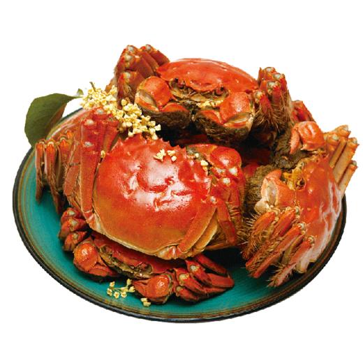 【满黄全母大蟹】两苏州大闸蟹鲜活螃蟹活体超大蟹礼盒
