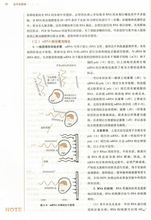 分子生药学 新世纪第二2版 全国高等中医药院校规划教材 第十10版 十三五规划教材 刘春生 袁媛 中医药 供中医学中药制药等专业用 商品图3