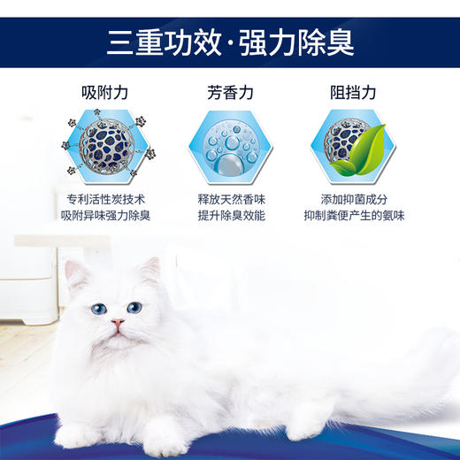 【拼团价】美国EverClean铂钻活性炭除臭膨润土矿石猫砂25磅11.3KG 商品图2