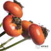 配果 | 蔷薇果（运输途中易掉果，介意慎拍） 商品缩略图2