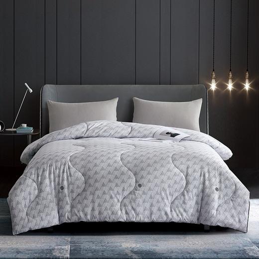 博洋家纺 BEYOND 若蓝暖芯被 200*230cm 商品图1