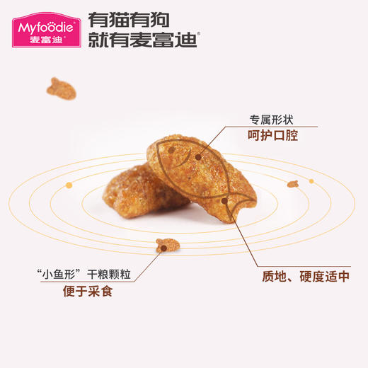 麦富迪凯滋特全期成猫粮10kg 商品图3