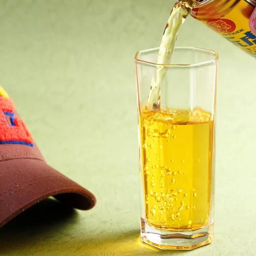 乐虎 维生素功能饮料  500ml/瓶 商品图1