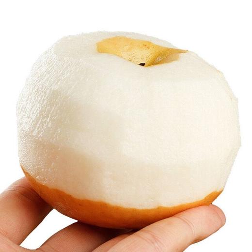 【中秋送"梨"佳品】山东秋月梨 来自梨乡莱阳的美味 现摘现发 细腻无