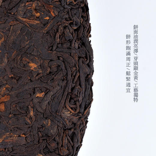 书香门第系列 普洱茶熟茶 热销新品 十款个性绵纸任选 商品图1