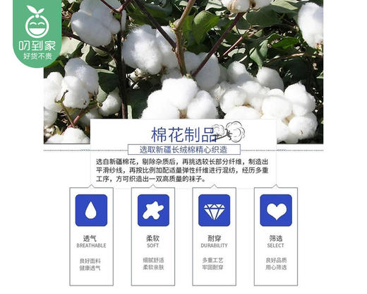 大时代抗菌隐形袜-船袜（6双盒 35-45码） 商品图3