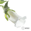 配花 | 风铃花白色(季节原因,把头较小.介意慎拍) 商品缩略图0