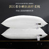 香槟色预售29号发货【五星级睡眠体验】滨江希尔顿枕芯 希尔顿酒店款纤柔枕 会呼吸的枕头 高度适中舒适 除螨去菌 升级100支面料 900g 商品缩略图1