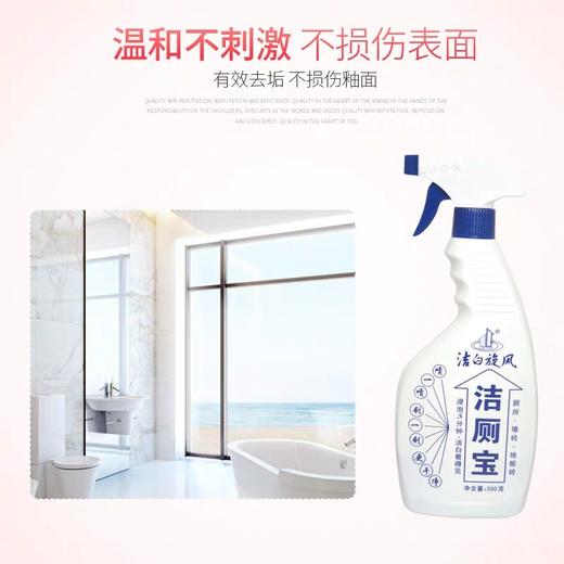洁白旋风洁厕宝带喷头 550g/瓶 商品图2