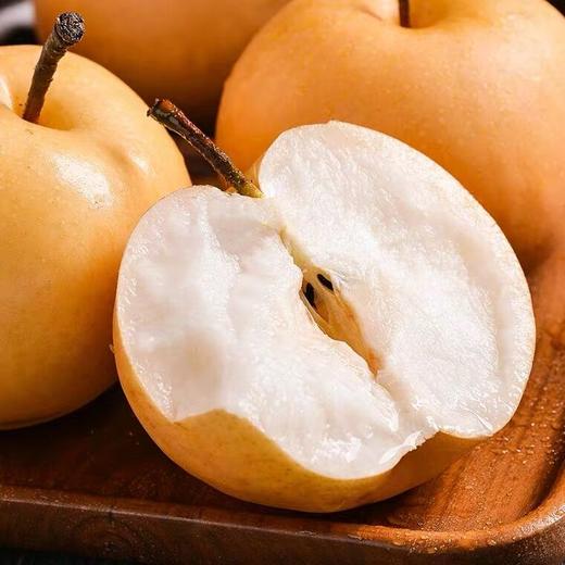 【中秋送"梨"佳品】山东秋月梨 来自梨乡莱阳的美味 现摘现发 细腻无