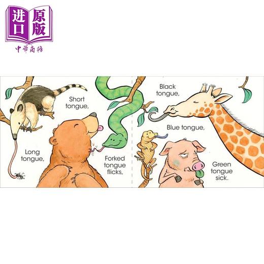 【中商原版】感官操作书套装 Matthew Van Fleet 低幼亲子互动益智游戏书 英语认知启蒙 纸板书 英文原版 3-6岁 商品图5
