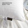 香槟色预售29号发货【五星级睡眠体验】滨江希尔顿枕芯 希尔顿酒店款纤柔枕 会呼吸的枕头 高度适中舒适 除螨去菌 升级100支面料 900g 商品缩略图4
