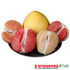 【珠三角包邮】四色彩柚礼盒 8.5-10斤/箱（9月18日到货） 商品缩略图0