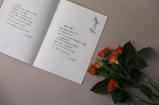 月光落在左手上 余秀华诗集精装珍藏版 经典诗歌+新作 余秀华家乡全彩图片 文学诗集 商品图5