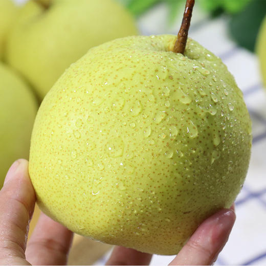 直播助农丰收丰县秒杀丰县白酥梨9斤箱