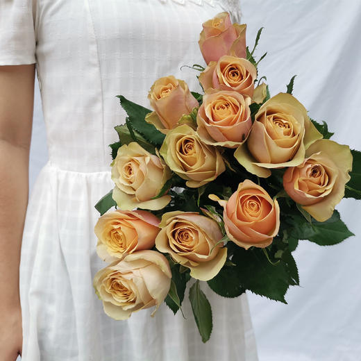 花园玫瑰|【黄金芥末】12支