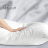 香槟色预售29号发货【五星级睡眠体验】滨江希尔顿枕芯 希尔顿酒店款纤柔枕 会呼吸的枕头 高度适中舒适 除螨去菌 升级100支面料 900g 商品缩略图3