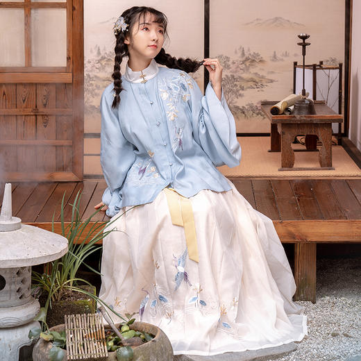 安姝立领明制琵琶袖袄裙