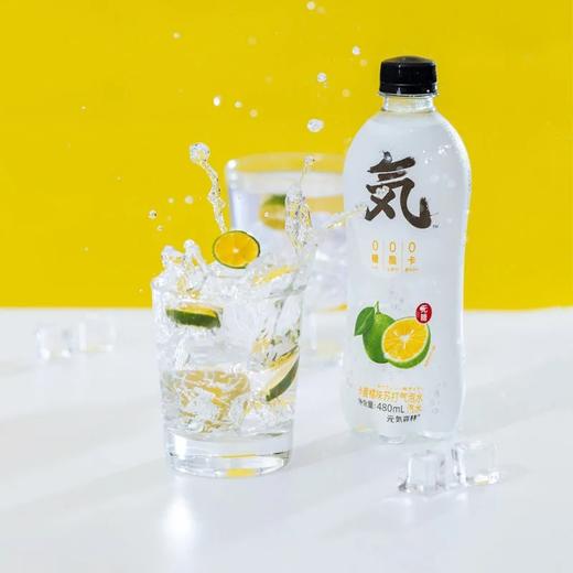 元気森林苏打气泡水卡曼橘口味480ml15瓶