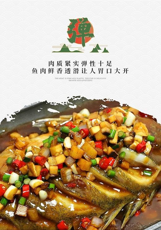 苗员外臭桂鱼～550克/条 商品图3