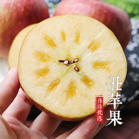 【伟诗优选】昭通丑苹果