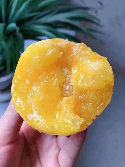 【双十一有活动】‼️树上熟云南石林风化石人参果 ，一口爆汁，肉质细腻 商品图2