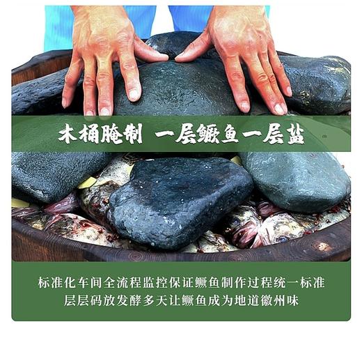 苗员外臭桂鱼～550克/条 商品图1