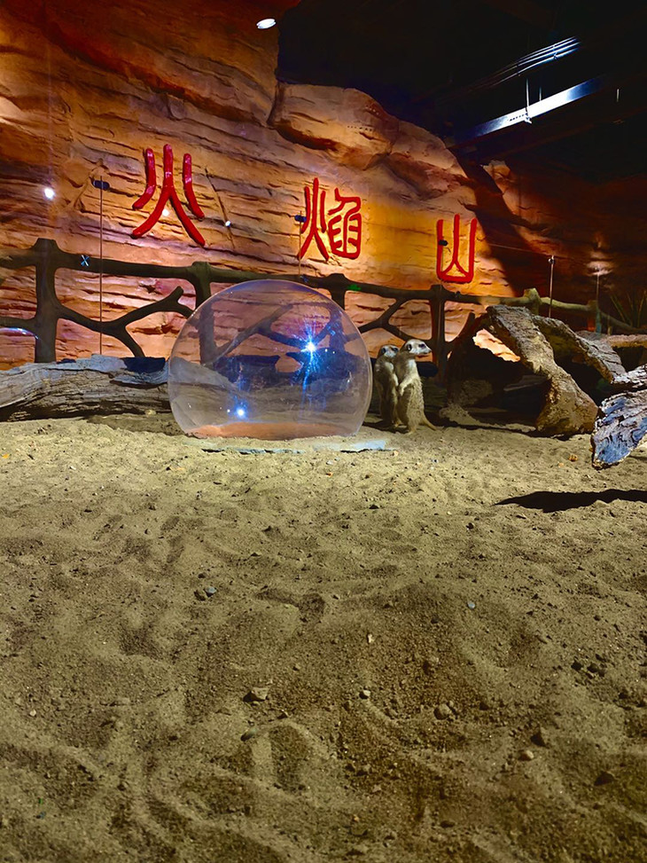 西游王国丰台杜家坎萌宠乐园单人票1005000平萌宠国内首家西游主题