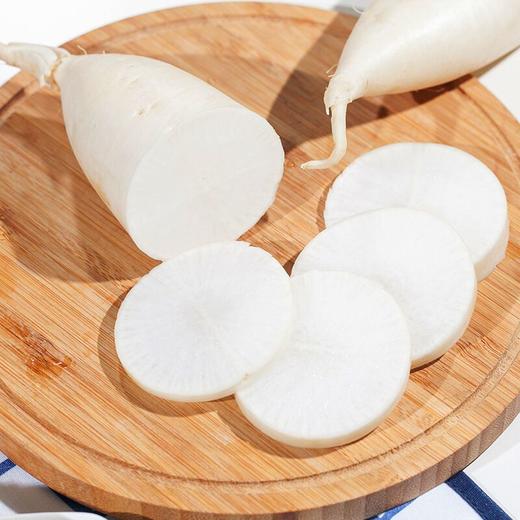 白萝卜 约1kg/份 商品图1