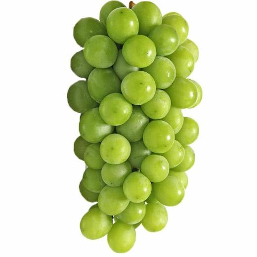 阳光玫瑰葡萄 商品图2