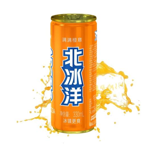 北冰洋（听装 冰镇）330ml 商品图0