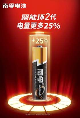 南孚电池两粒装