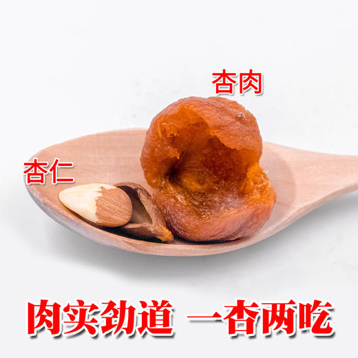 新疆杏干树上干杏天然无添加 四团吊干杏吊死杏干 新疆特产新货 商品图3