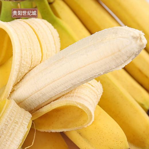 gy海南香蕉约3斤份