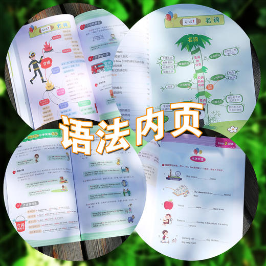 思维导图 全彩少儿版（英语单词+语法2册套装）小学英语 英语学习 昂秀外语 商品图4