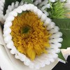 重瓣向日葵（泰迪） 商品缩略图2