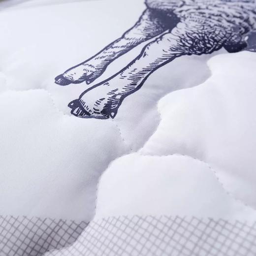 喜芙妮 安哥拉羊毛被 送父母、朋友、客户 200*230cm 商品图1