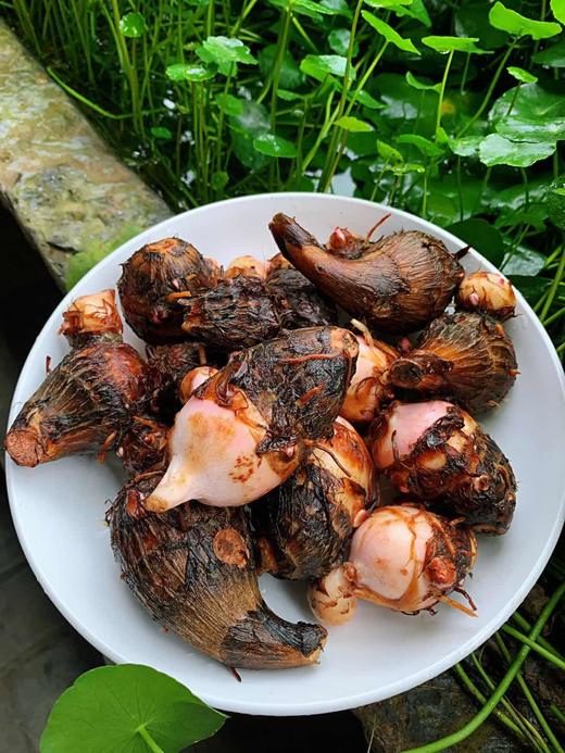 生态芋艿（500克） 商品图0