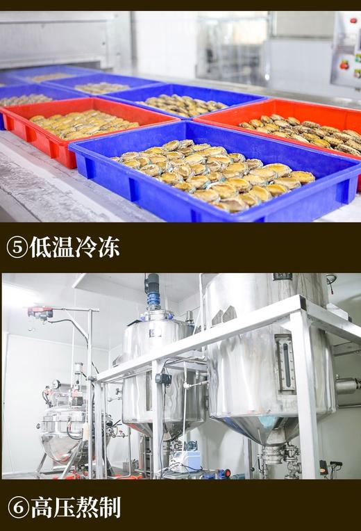 活冻10头鲜鲍鱼500克/包 商品图4