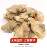 特大无冰蛤蜊肉1千克/包 商品缩略图2