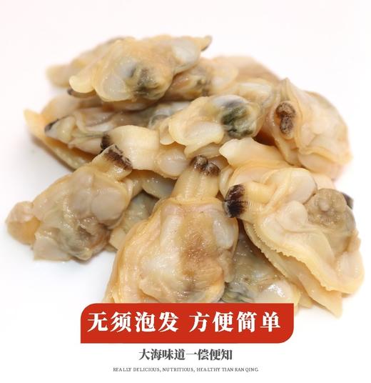 特大无冰蛤蜊肉1千克/包 商品图2
