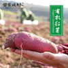 太行有机红薯  软糯香甜 商品缩略图0