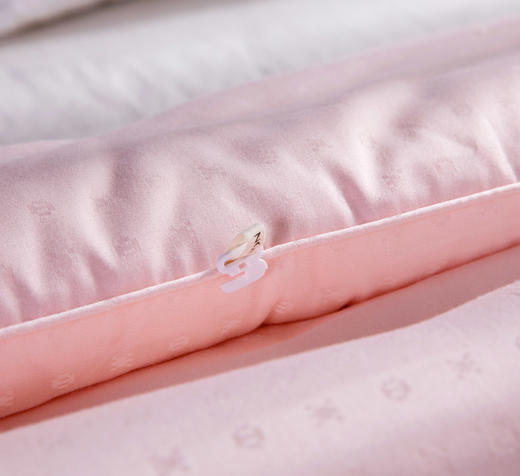 【远梦】植选大豆抗菌冬被 商品图4