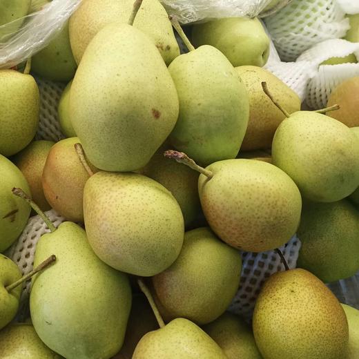 小香梨 商品图0