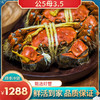 【活蟹】品质现货【公5两，母3.5两】阳澄湖大闸蟹8只/份 又大又肥拍下即发 11月最佳！ 商品缩略图0