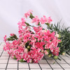 多头康乃馨·粉色星太子 商品缩略图2