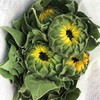 向日葵 商品缩略图1